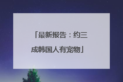 最新报告：约三成韩国人有宠物