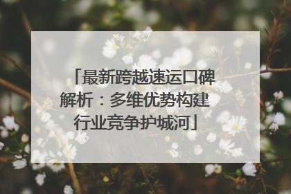 最新跨越速运口碑解析：多维优势构建行业竞争护城河