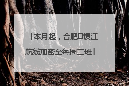 本月起，合肥⇋镇江航线加密至每周三班