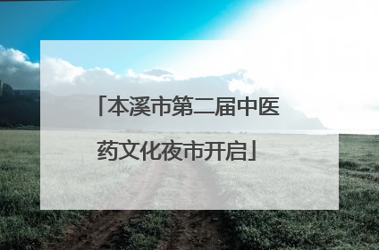 本溪市第二届中医药文化夜市开启