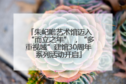 朱屺瞻艺术馆迈入 “而立之年” ，“多重视域”建馆30周年系列活动开启