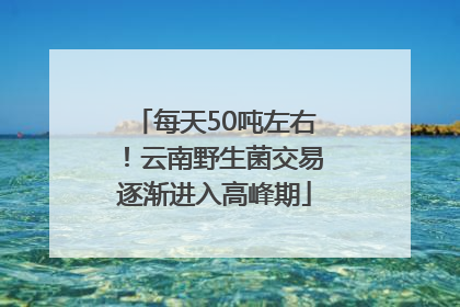 每天50吨左右！云南野生菌交易逐渐进入高峰期