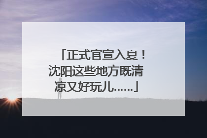 正式官宣入夏！沈阳这些地方既清凉又好玩儿……