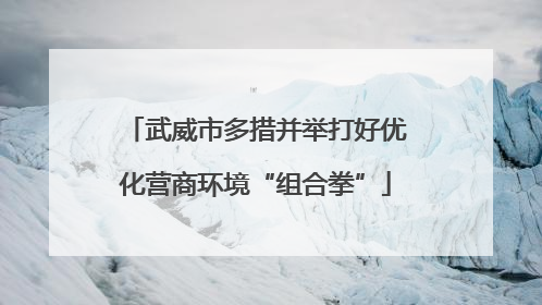武威市多措并举打好优化营商环境“组合拳”