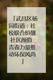 武昌区杨园街道：社校联合扮靓社区颜值 青春力量推动环保风尚