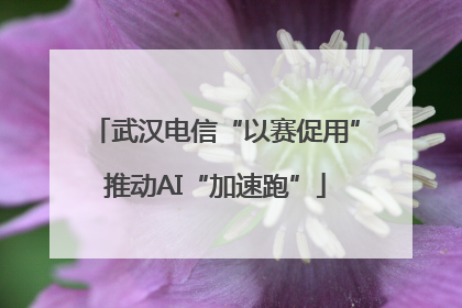 武汉电信“以赛促用”推动AI“加速跑”