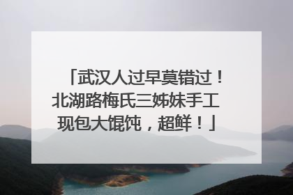 武汉人过早莫错过！北湖路梅氏三姊妹手工现包大馄饨，超鲜！