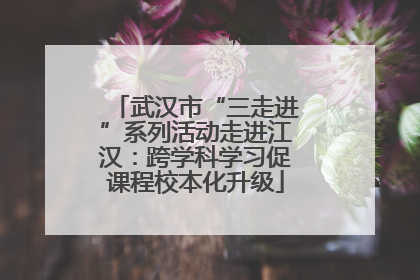 武汉市“三走进”系列活动走进江汉：跨学科学习促课程校本化升级
