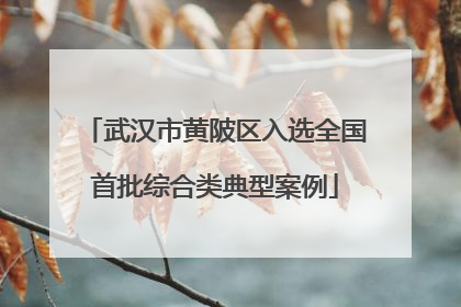 武汉市黄陂区入选全国首批综合类典型案例