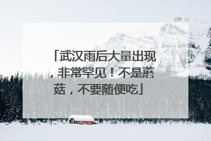 武汉雨后大量出现，非常罕见！不是蘑菇，不要随便吃