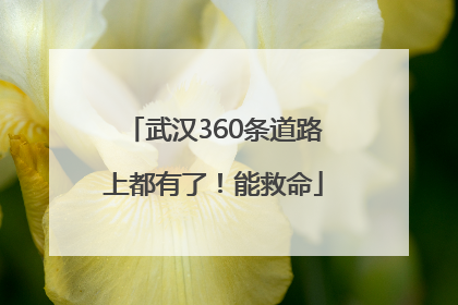 武汉360条道路上都有了！能救命