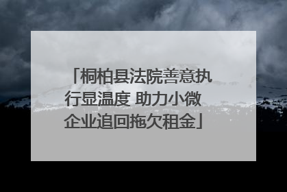 桐柏县法院善意执行显温度 助力小微企业追回拖欠租金