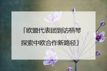 欧盟代表团到访横琴 探索中欧合作新路径