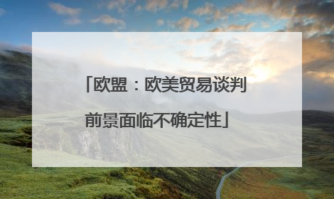 欧盟：欧美贸易谈判前景面临不确定性