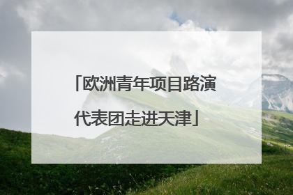 欧洲青年项目路演代表团走进天津