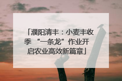 濮阳清丰：小麦丰收季 “一条龙”作业开启农业高效新篇章