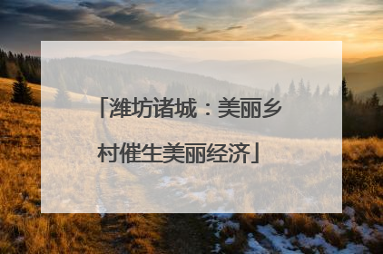 潍坊诸城：美丽乡村催生美丽经济