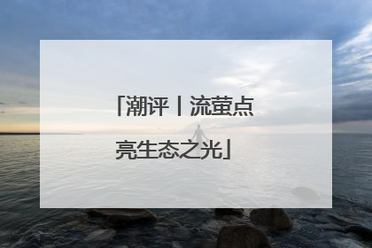 潮评丨流萤点亮生态之光