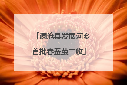 澜沧县发展河乡首批春蚕茧丰收