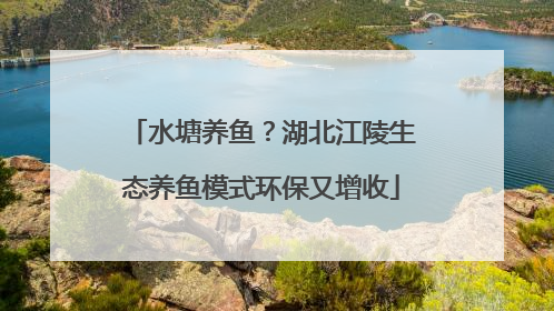 水塘养鱼？湖北江陵生态养鱼模式环保又增收