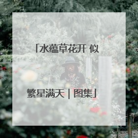 水蕴草花开 似繁星满天｜图集