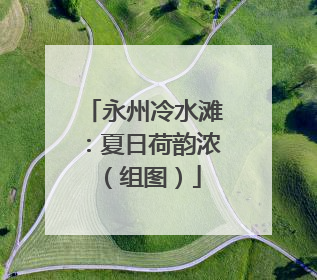 永州冷水滩：夏日荷韵浓（组图）