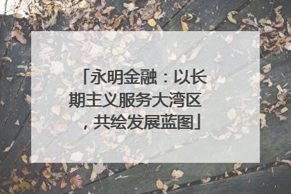 永明金融：以长期主义服务大湾区，共绘发展蓝图