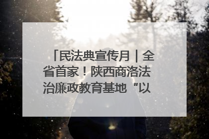 民法典宣传月｜全省首家！陕西商洛法治廉政教育基地“以案说纪”润人心