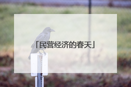 民营经济的春天