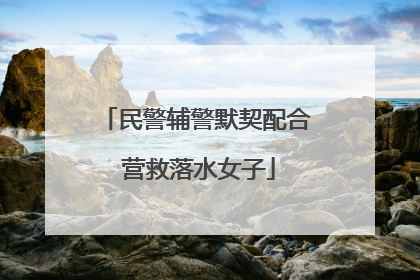 民警辅警默契配合 营救落水女子