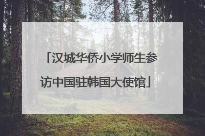 汉城华侨小学师生参访中国驻韩国大使馆