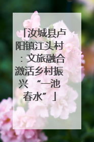 汝城县卢阳镇江头村：文旅融合激活乡村振兴 “一池春水”