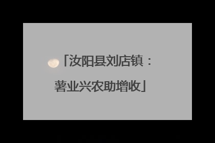 汝阳县刘店镇：薯业兴农助增收
