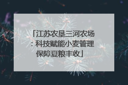 江苏农垦三河农场：科技赋能小麦管理保障夏粮丰收