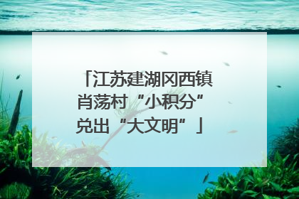 江苏建湖冈西镇肖荡村“小积分”兑出“大文明”