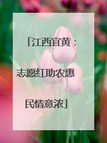 江西宜黄：志愿红助农惠民情意浓