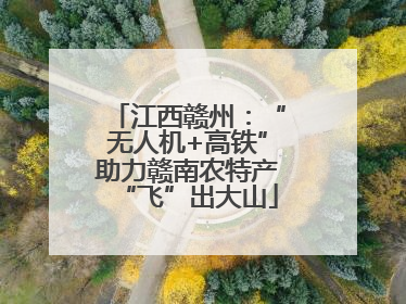 江西赣州：“无人机+高铁”助力赣南农特产“飞”出大山