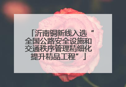 沂南铜新线入选“全国公路安全设施和交通秩序管理精细化提升精品工程”