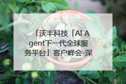 沃丰科技「AI Agent下一代全球服务平台」客户峰会-深圳站圆满落幕！
