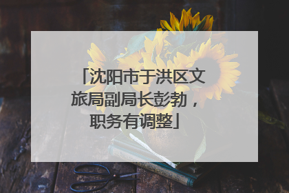 沈阳市于洪区文旅局副局长彭勃，职务有调整