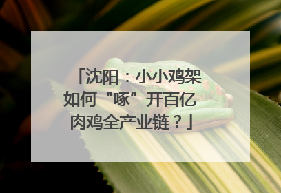 沈阳：小小鸡架如何“啄”开百亿肉鸡全产业链？