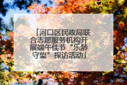 河口区民政局联合志愿服务机构开展端午佳节“乐龄守望”探访活动