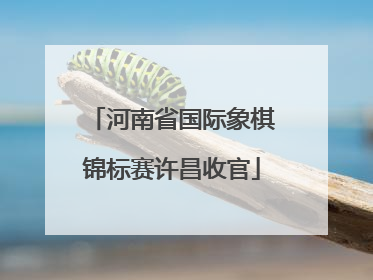 河南省国际象棋锦标赛许昌收官