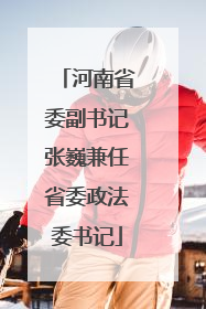 河南省委副书记张巍兼任省委政法委书记