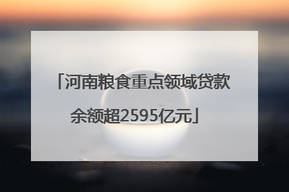 河南粮食重点领域贷款余额超2595亿元