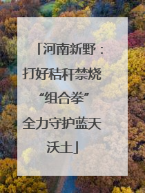 河南新野：打好秸秆禁烧“组合拳” 全力守护蓝天沃土