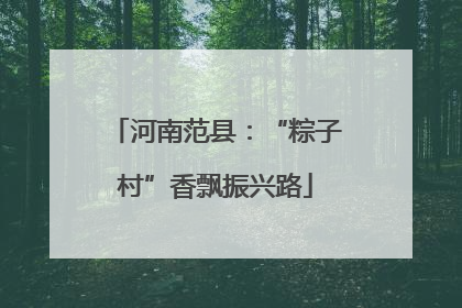 河南范县：“粽子村”香飘振兴路