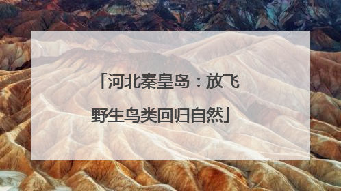 河北秦皇岛：放飞野生鸟类回归自然