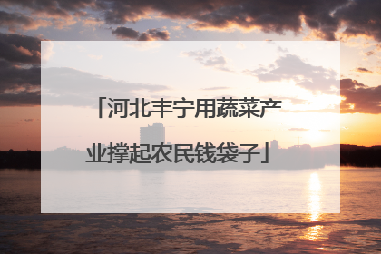 河北丰宁用蔬菜产业撑起农民钱袋子