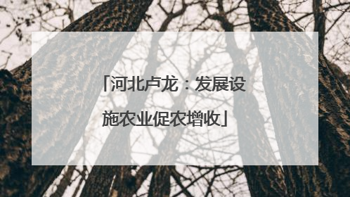 河北卢龙：发展设施农业促农增收